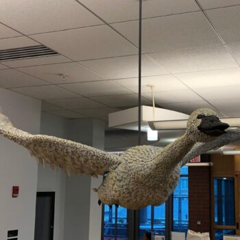 Mary Taylor, "Louis, Trumpeter Swan" Mary Taylor's "Louis, Trumpeter Swan" sculpture