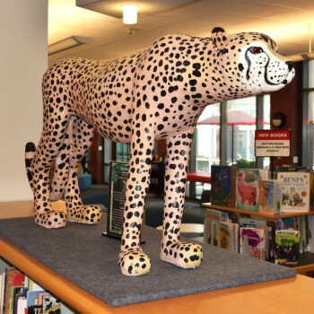 1 Bob Jenkins's "The Cheetah"