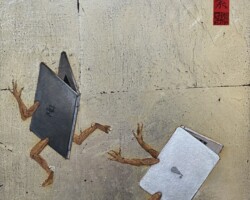 Nopaso image.